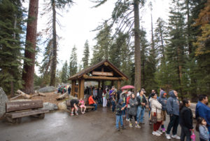 Visitors to Sequoia National Park in California, USA Visitors to Sequoia National Park in California, USA
